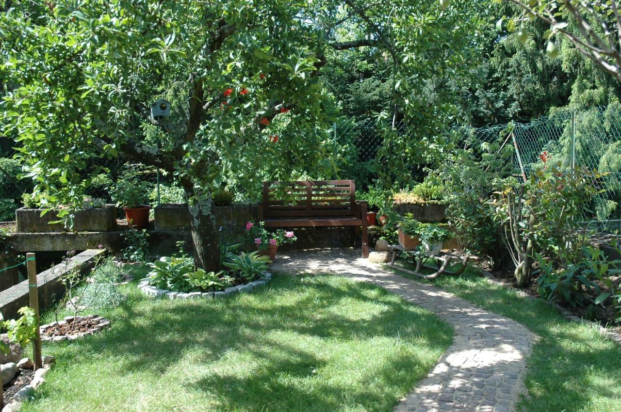 Mirabelle Bed & Breakfast Ribeauvillé Exterior photo