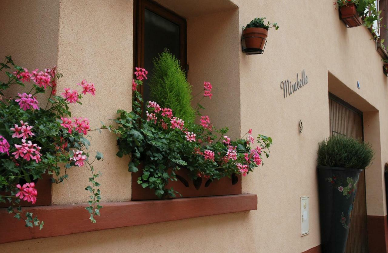Mirabelle Bed & Breakfast Ribeauvillé Exterior photo